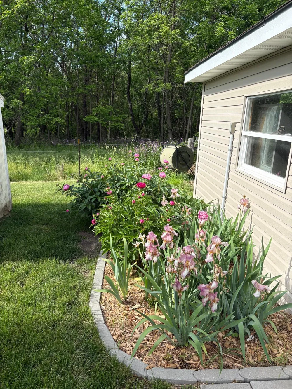 22453 State Highway 16 Wykoff, MN 55990