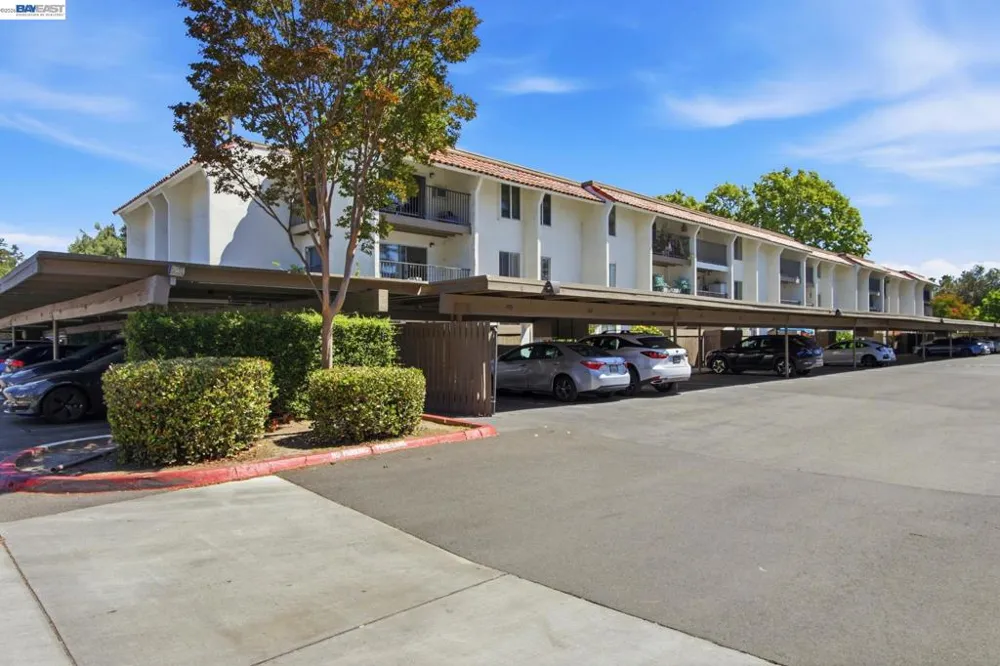 1720 Halford Ave #233 Santa Clara, CA 95051