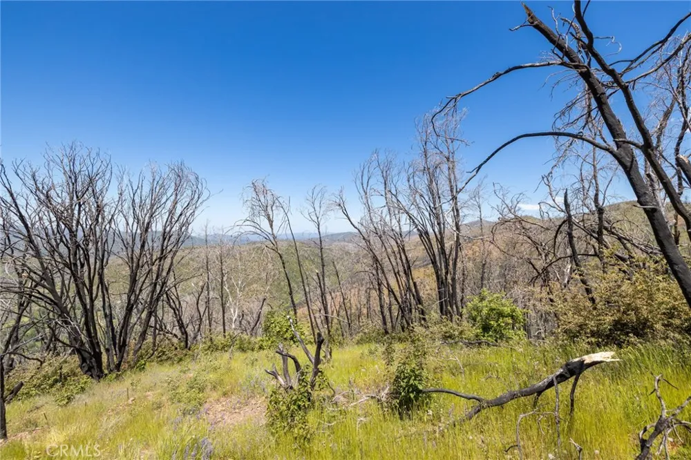 39 Acres Buckingham Mountain Road Mariposa, CA 95338