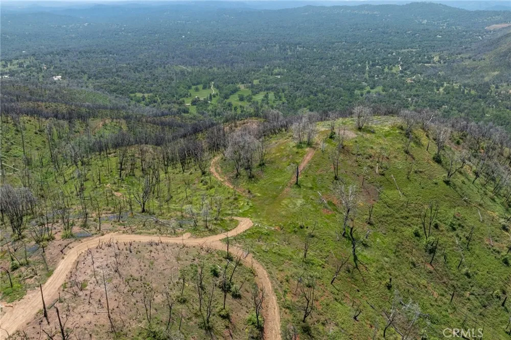 39 Acres Buckingham Mountain Road Mariposa, CA 95338