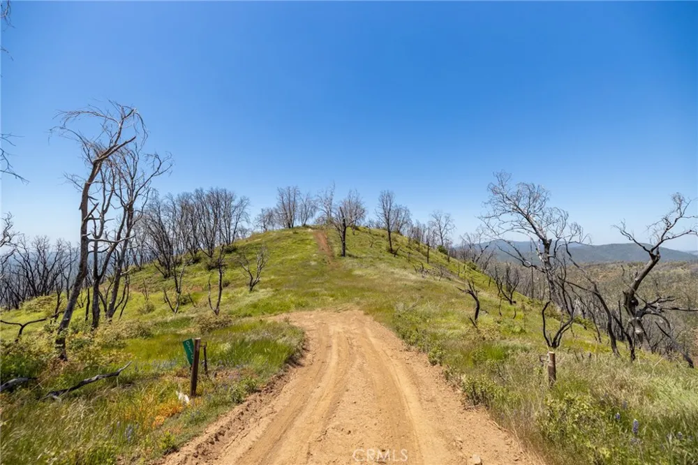 39 Acres Buckingham Mountain Road Mariposa, CA 95338