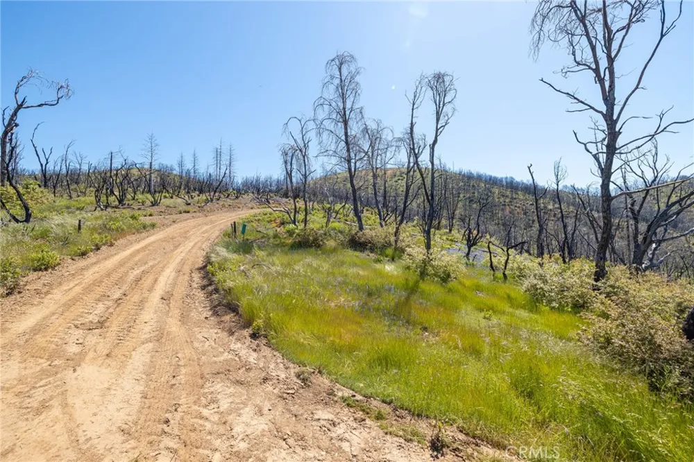 39 Acres Buckingham Mountain Road Mariposa, CA 95338