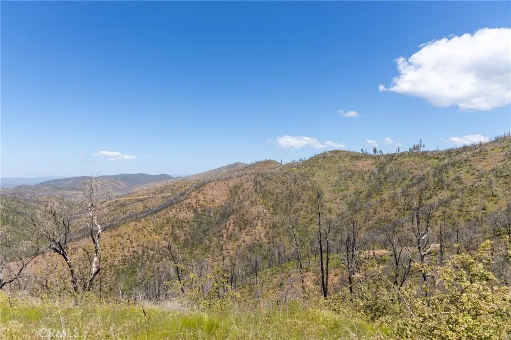 39 Acres Buckingham Mountain Road Mariposa, CA 95338