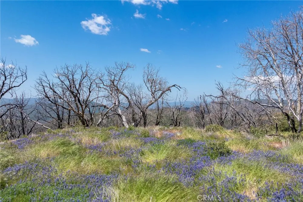 39 Acres Buckingham Mountain Road Mariposa, CA 95338