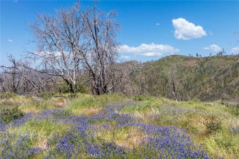 39 Acres Buckingham Mountain Road Mariposa, CA 95338