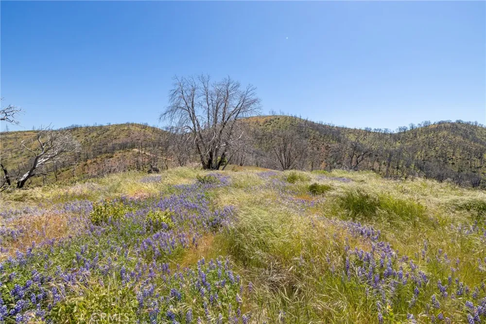 39 Acres Buckingham Mountain Road Mariposa, CA 95338