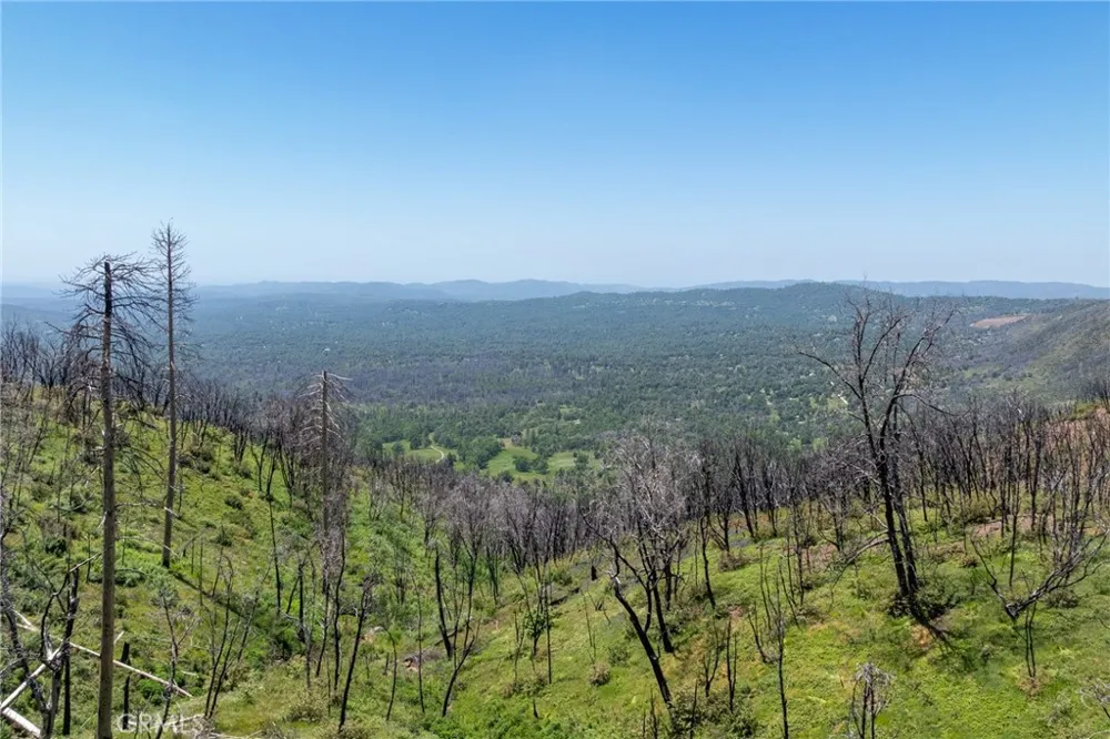 39 Acres Buckingham Mountain Road Mariposa, CA 95338