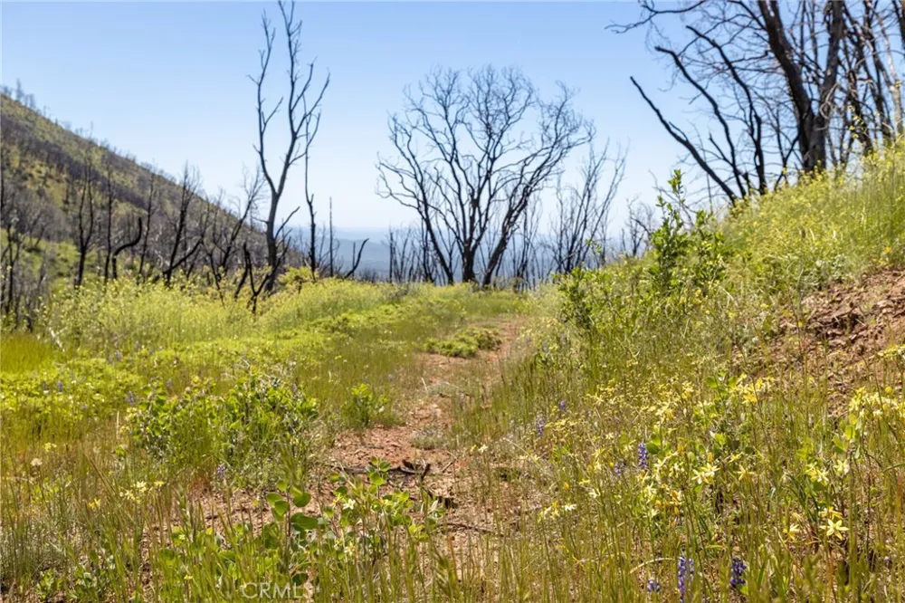 39 Acres Buckingham Mountain Road Mariposa, CA 95338