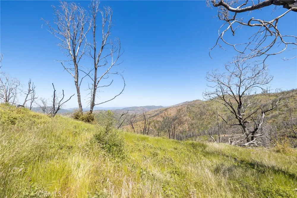 39 Acres Buckingham Mountain Road Mariposa, CA 95338