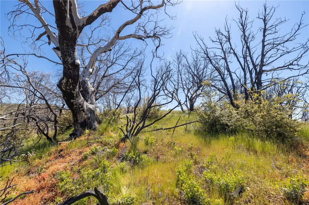 39 Acres Buckingham Mountain Road Mariposa, CA 95338