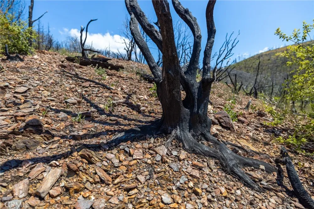 39 Acres Buckingham Mountain Road Mariposa, CA 95338