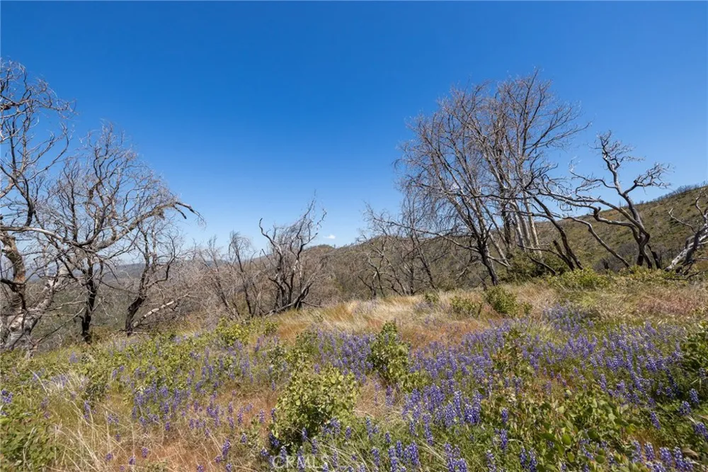 39 Acres Buckingham Mountain Road Mariposa, CA 95338
