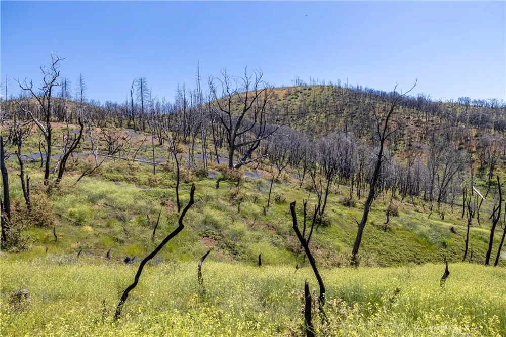 39 Acres Buckingham Mountain Road Mariposa, CA 95338