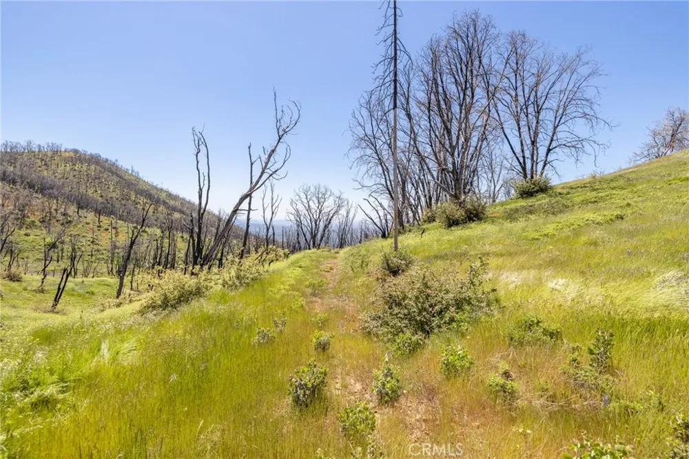 39 Acres Buckingham Mountain Road Mariposa, CA 95338