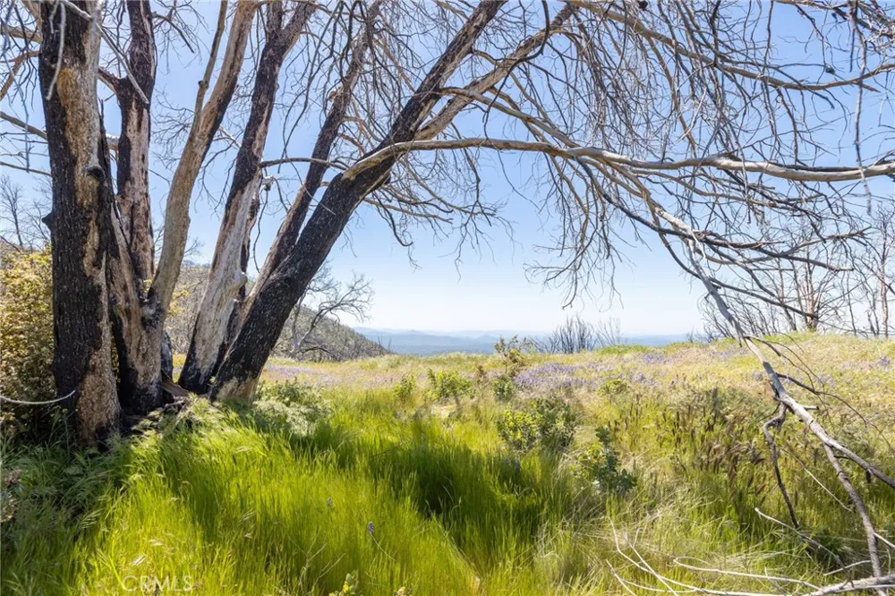39 Acres Buckingham Mountain Road Mariposa, CA 95338