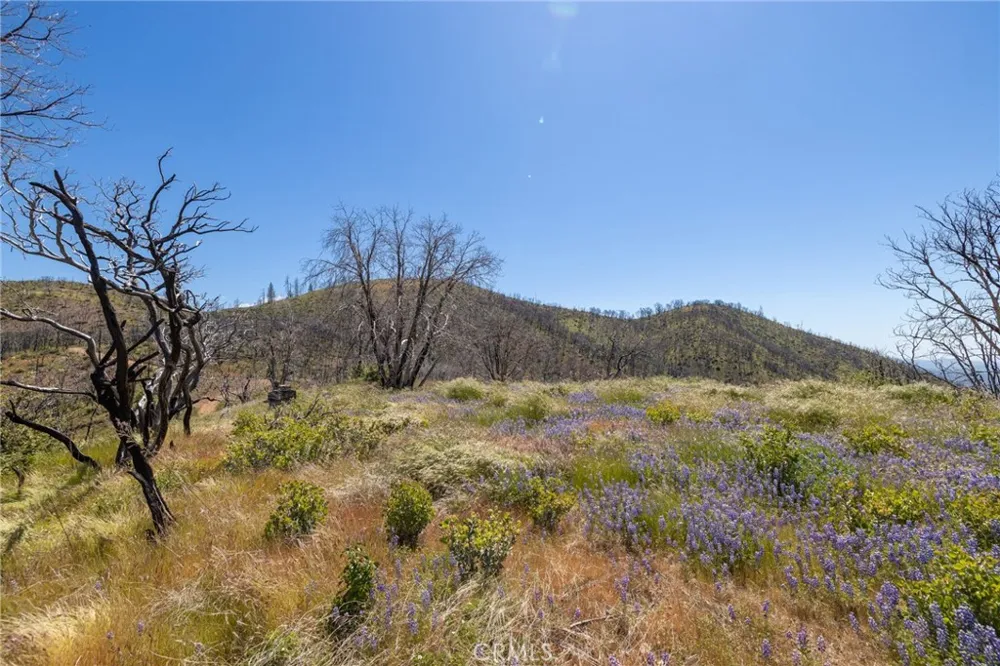 39 Acres Buckingham Mountain Road Mariposa, CA 95338