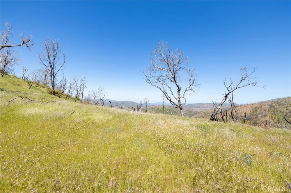 39 Acres Buckingham Mountain Road Mariposa, CA 95338