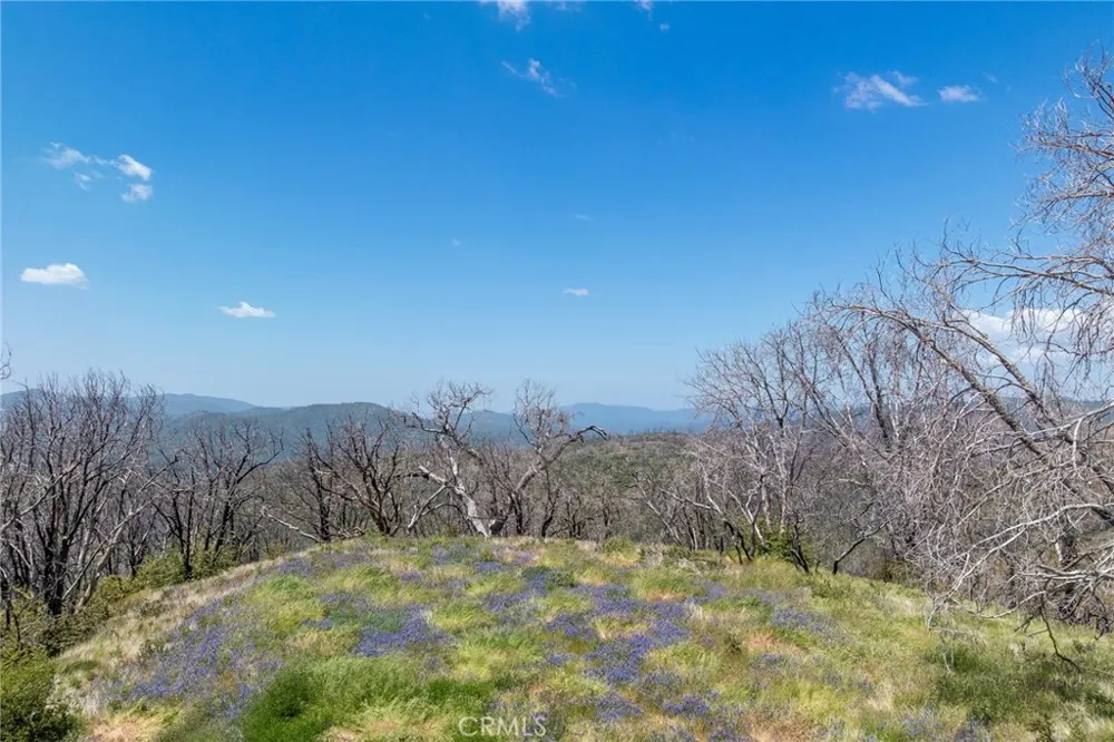 39 Acres Buckingham Mountain Road Mariposa, CA 95338