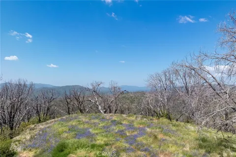 39 Acres Buckingham Mountain Road