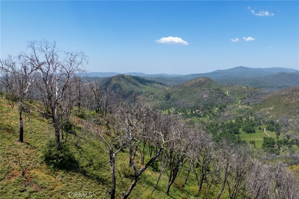 39 Acres Buckingham Mountain Road Mariposa, CA 95338
