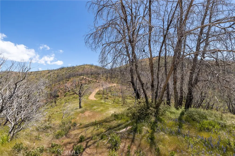 39 Acres Buckingham Mountain Road Mariposa, CA 95338