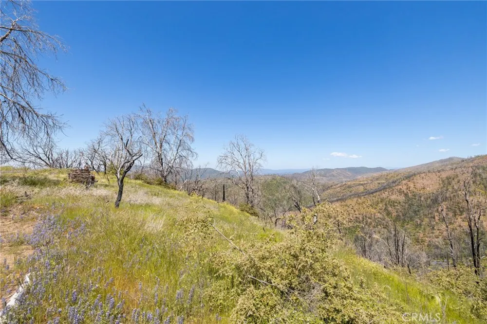 39 Acres Buckingham Mountain Road Mariposa, CA 95338
