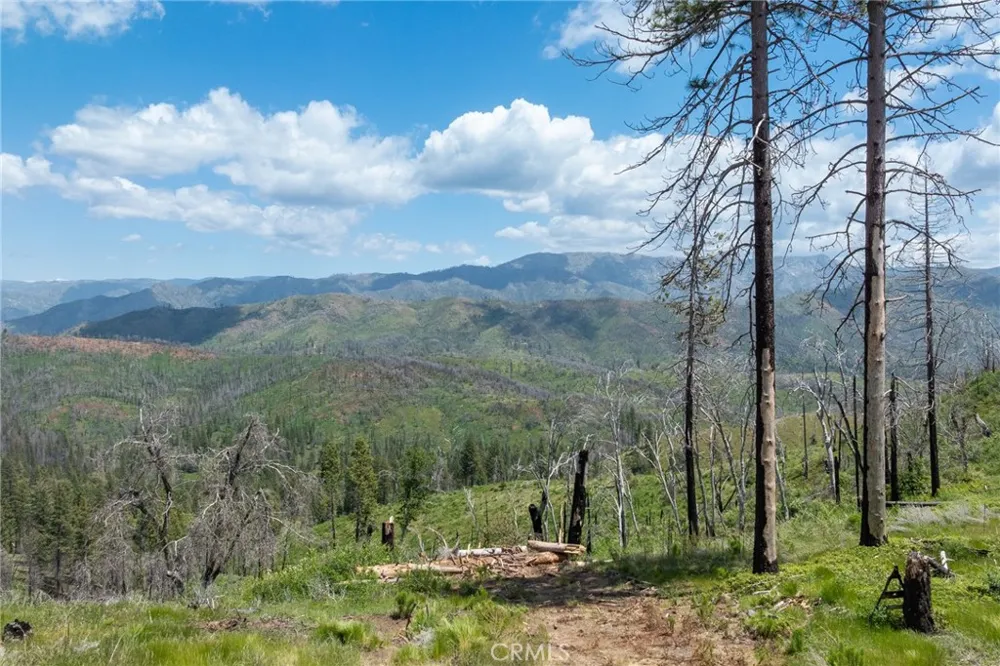 39 Acres Buckingham Mountain Road Mariposa, CA 95338