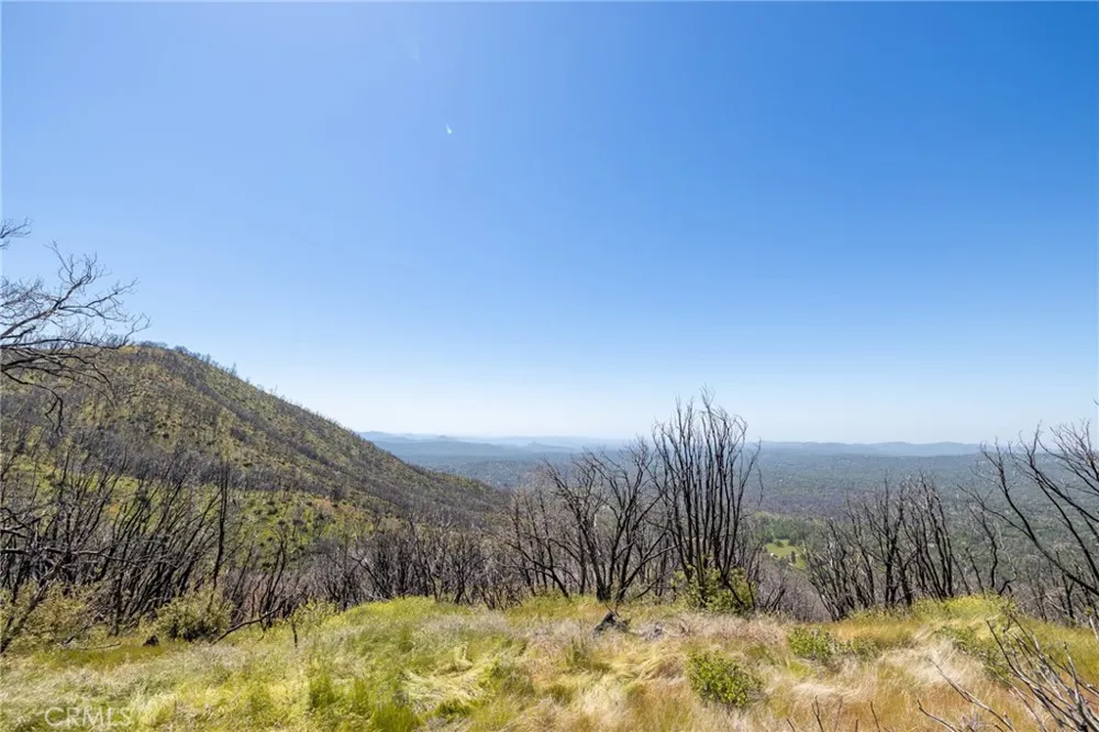 39 Acres Buckingham Mountain Road Mariposa, CA 95338