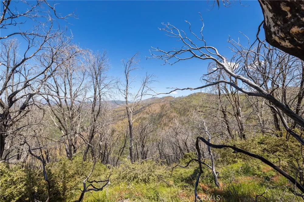 39 Acres Buckingham Mountain Road Mariposa, CA 95338