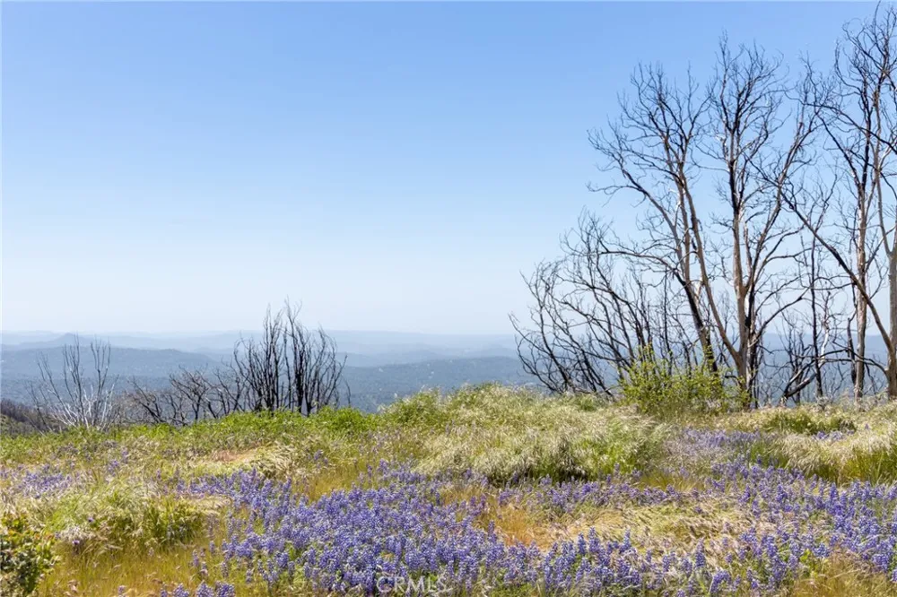 39 Acres Buckingham Mountain Road Mariposa, CA 95338