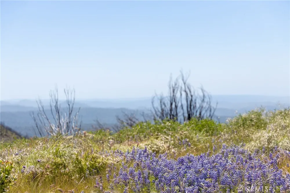 39 Acres Buckingham Mountain Road Mariposa, CA 95338
