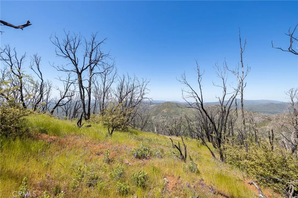 39 Acres Buckingham Mountain Road Mariposa, CA 95338