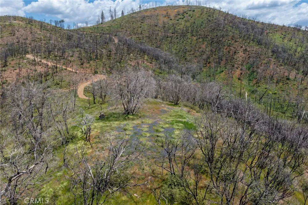 39 Acres Buckingham Mountain Road Mariposa, CA 95338