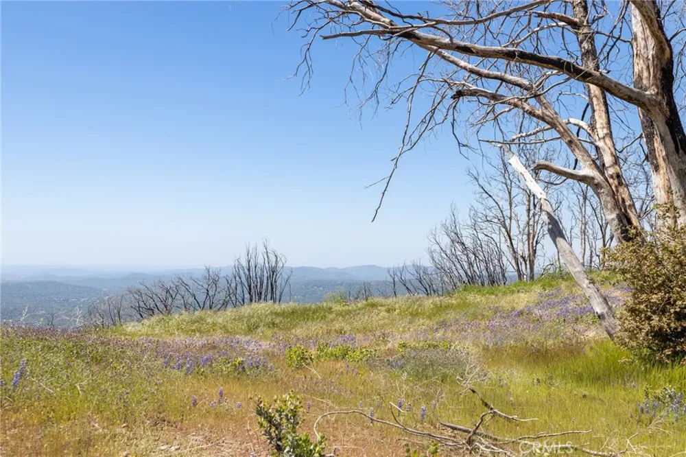 39 Acres Buckingham Mountain Road Mariposa, CA 95338