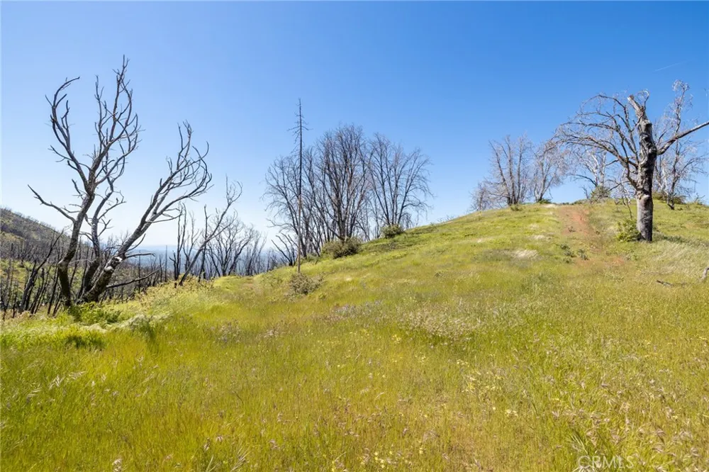 39 Acres Buckingham Mountain Road Mariposa, CA 95338
