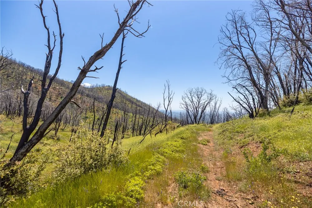 39 Acres Buckingham Mountain Road Mariposa, CA 95338