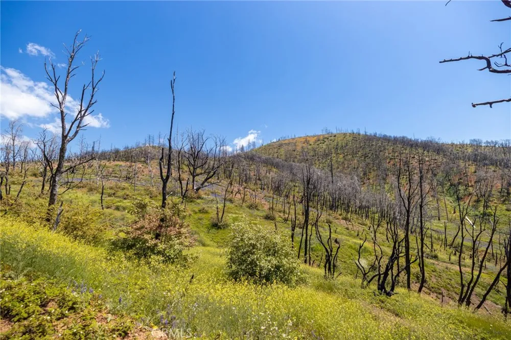 39 Acres Buckingham Mountain Road Mariposa, CA 95338