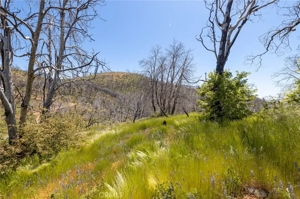 39 Acres Buckingham Mountain Road Mariposa, CA 95338