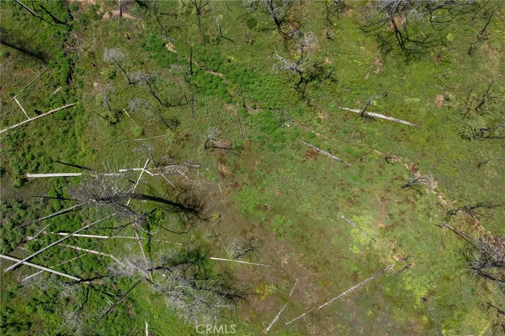 39 Acres Buckingham Mountain Road Mariposa, CA 95338