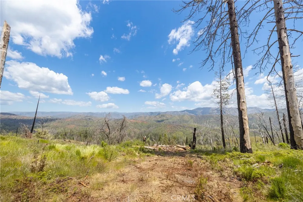 39 Acres Buckingham Mountain Road Mariposa, CA 95338