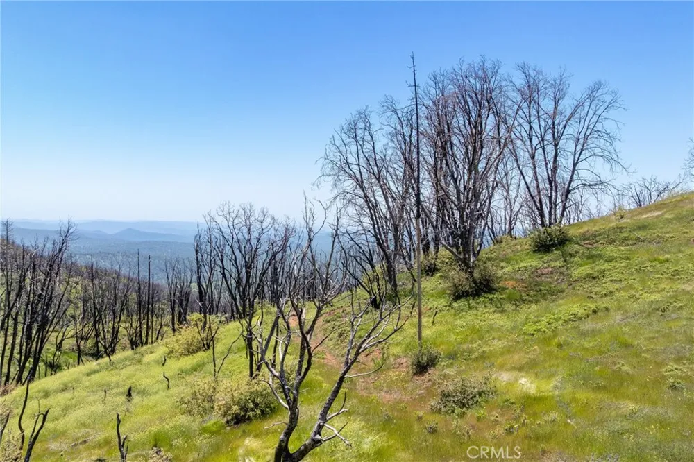 39 Acres Buckingham Mountain Road Mariposa, CA 95338