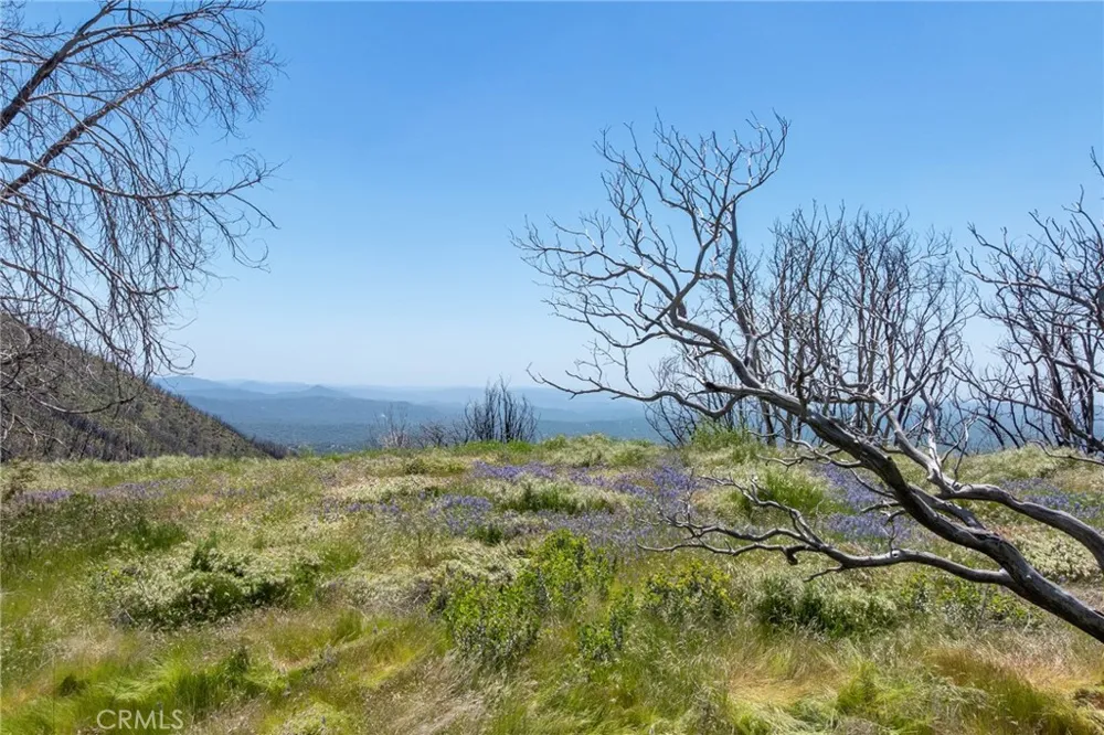 39 Acres Buckingham Mountain Road Mariposa, CA 95338