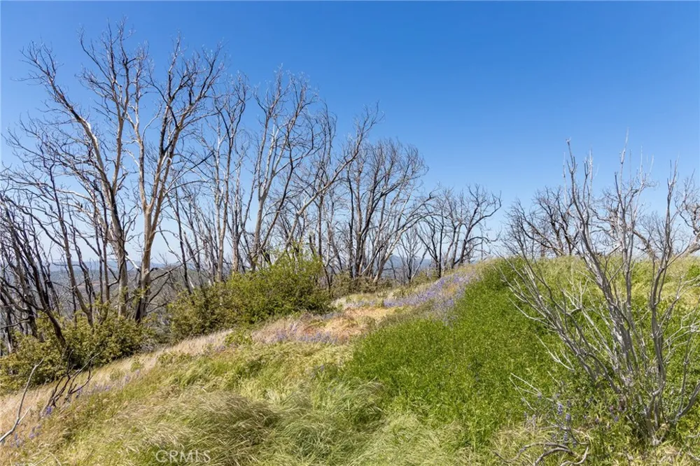 39 Acres Buckingham Mountain Road Mariposa, CA 95338