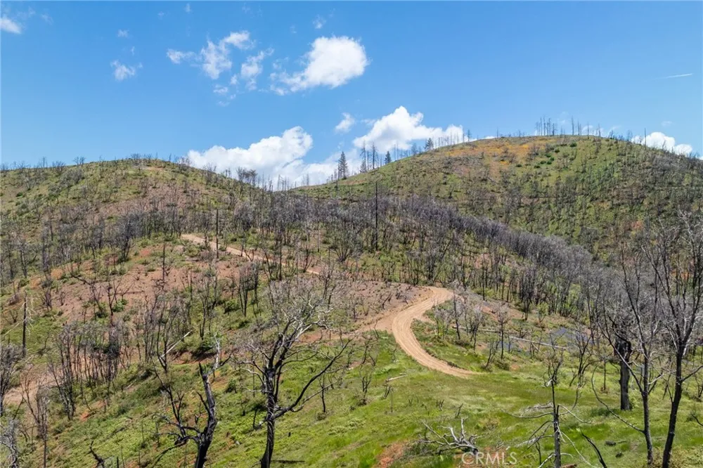 39 Acres Buckingham Mountain Road Mariposa, CA 95338