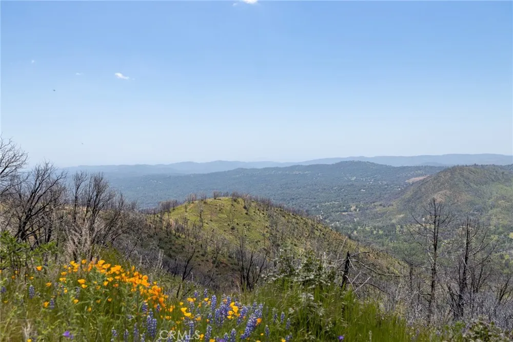 39 Acres Buckingham Mountain Road Mariposa, CA 95338