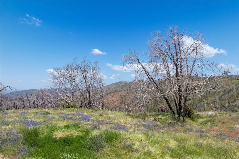 39 Acres Buckingham Mountain Road Mariposa, CA 95338