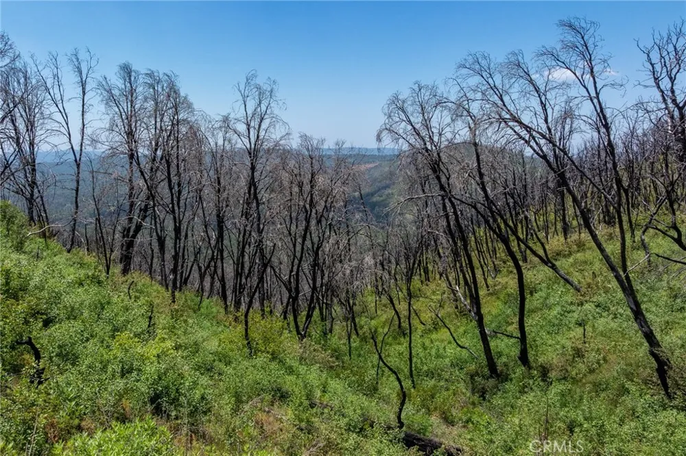 39 Acres Buckingham Mountain Road Mariposa, CA 95338