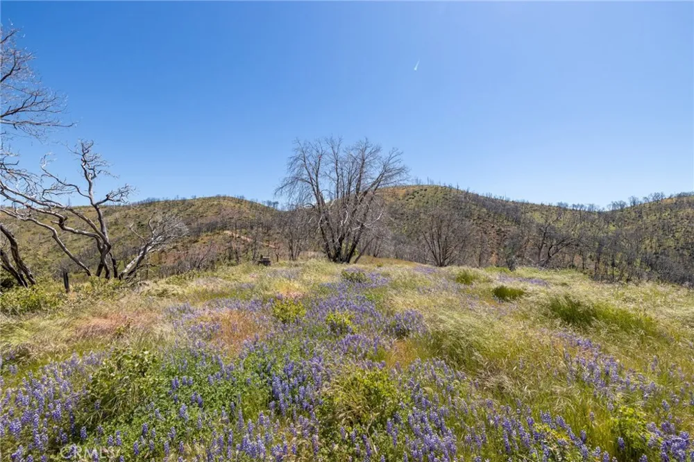 39 Acres Buckingham Mountain Road Mariposa, CA 95338
