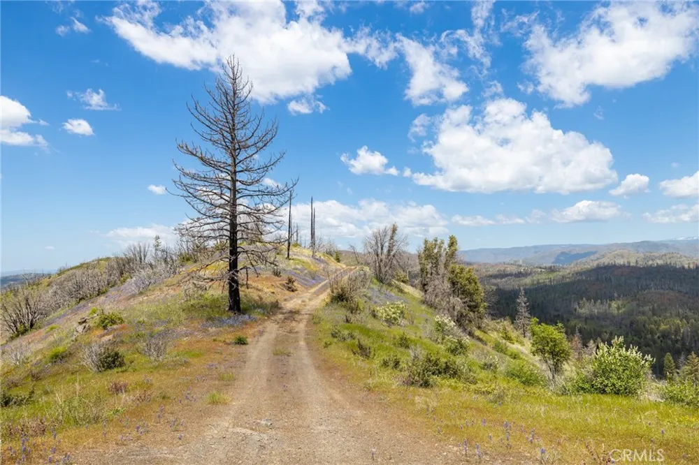39 Acres Buckingham Mountain Road Mariposa, CA 95338
