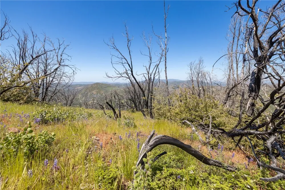 39 Acres Buckingham Mountain Road Mariposa, CA 95338